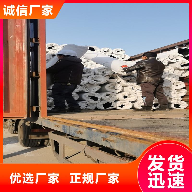 排水盲管-【钢纤维】种类丰富金鸿耀渗排水网垫