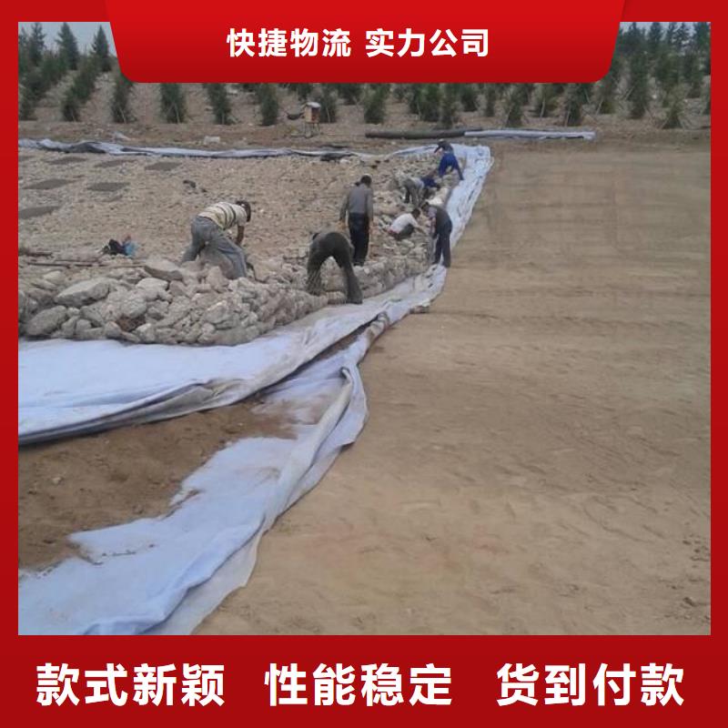 【 土工布,仿钢塑钢纤维畅销当地】金鸿耀渗排水网垫