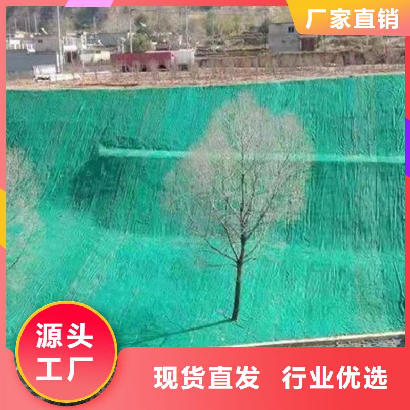 椰纤植生毯加筋抗冲生物毯