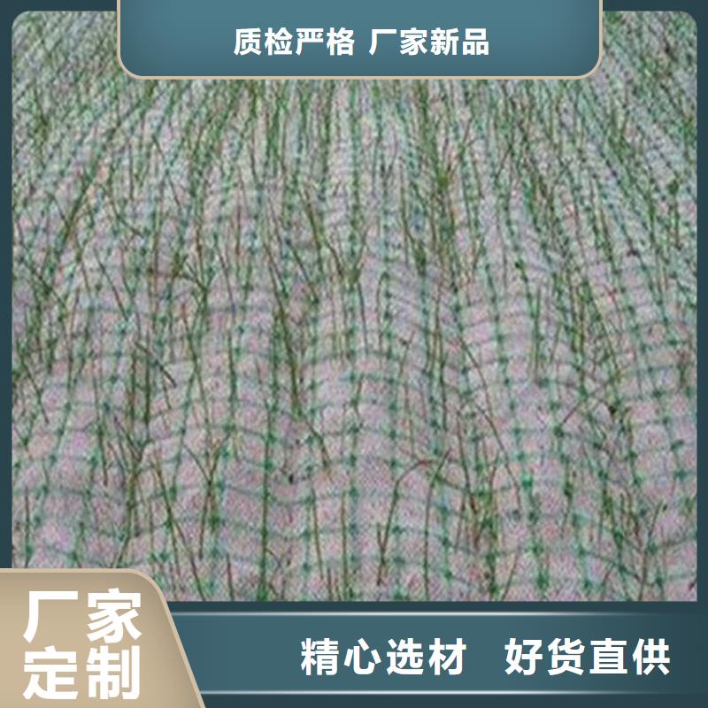 环保植生绿化毯加筋防冲毯