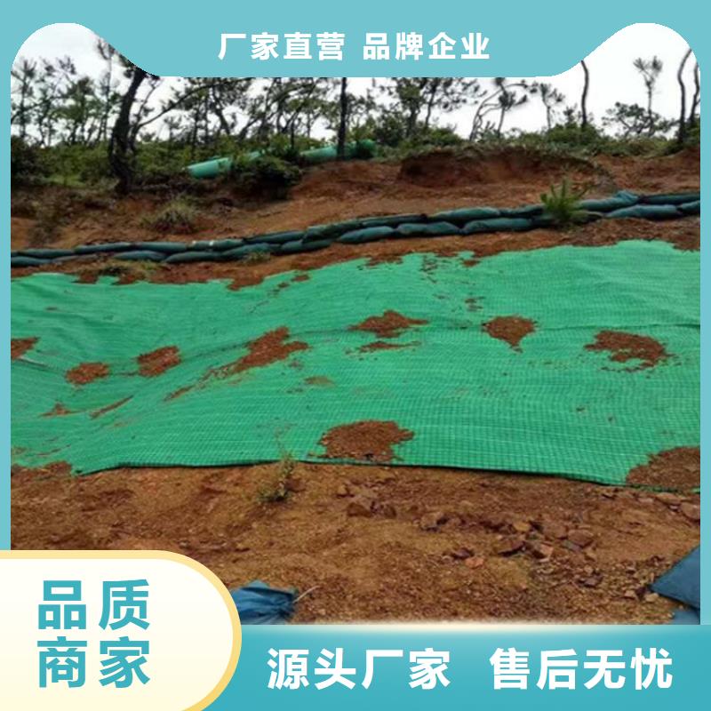 加筋抗冲生态毯-公路植生毯