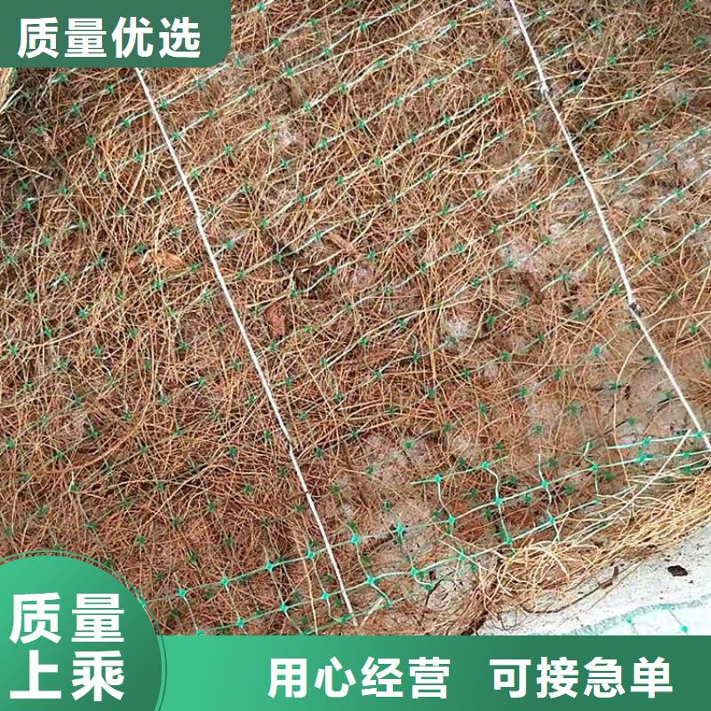 植物纤维毯加筋抗冲生物毯