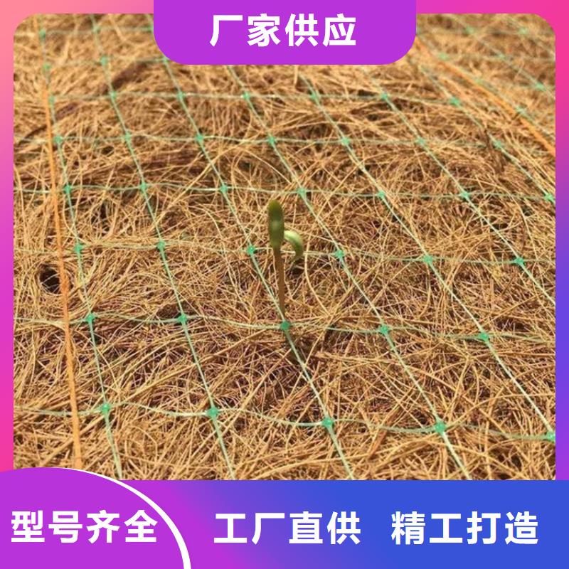 生态护坡草毯-稻草椰丝毯