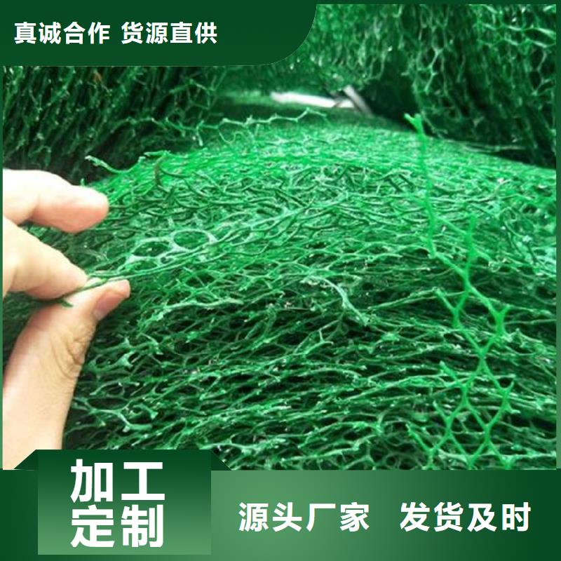 三维植被网【土工膜】精工制作