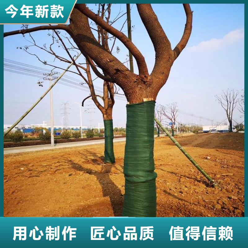裹树布土工格栅符合标准