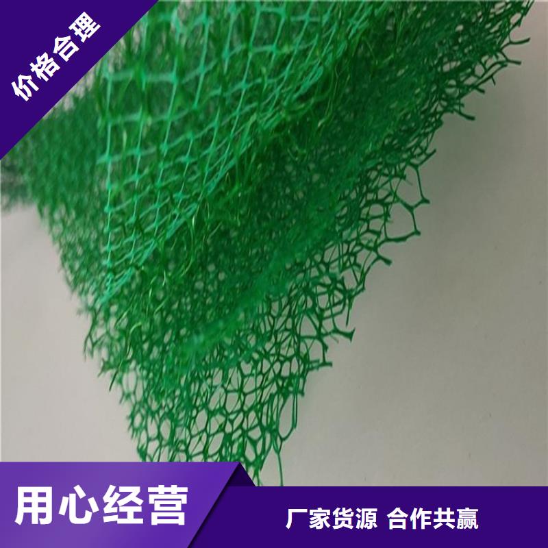 【 三维植被网_防渗膜工厂采购】|宁陵|柘城|濮阳|许昌|三门峡|安阳|周口品牌