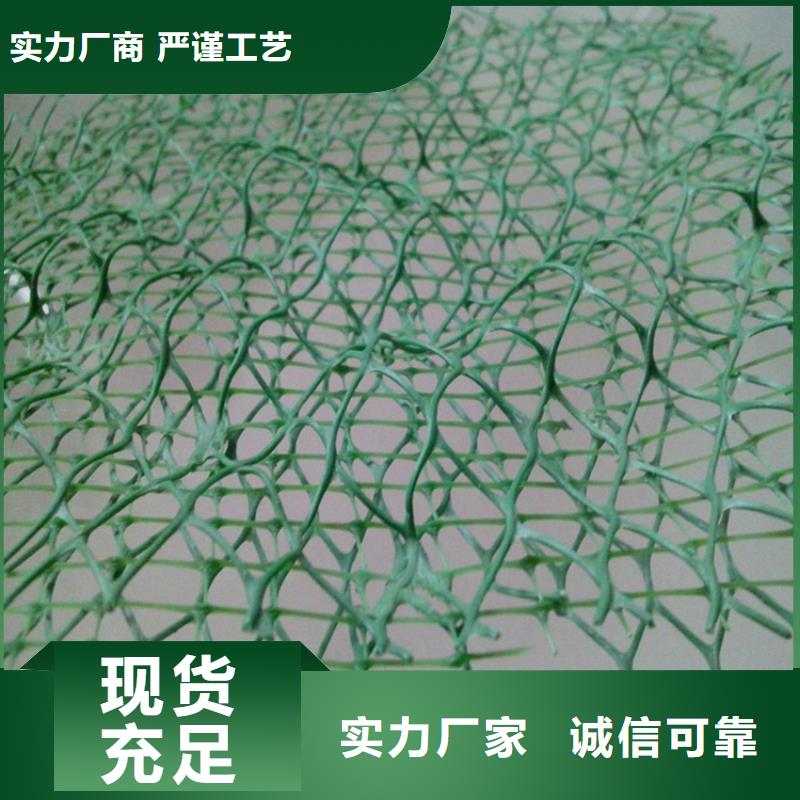 【 三维植被网_防渗膜工厂采购】|宁陵|柘城|濮阳|许昌|三门峡|安阳|周口品牌