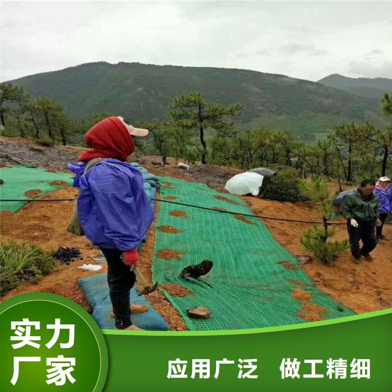 椰纤植生毯-加筋抗冲生态毯-纤维毯植草