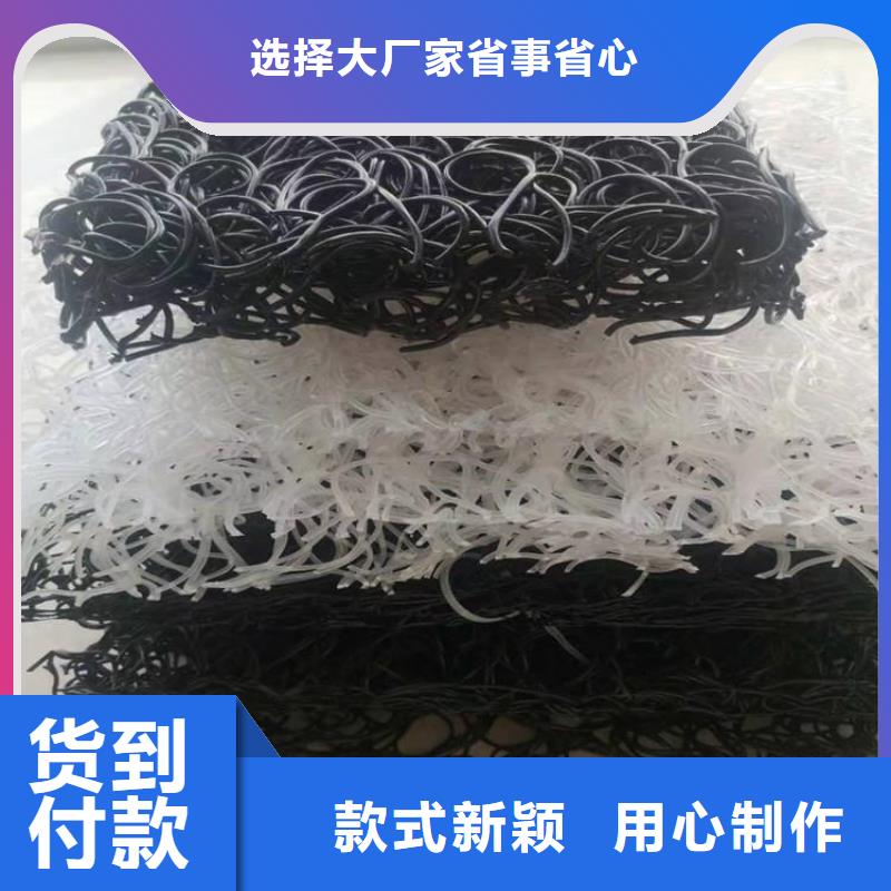 【土工席垫】,HDPE土工膜实力公司 中齐建材(合肥市分公司)