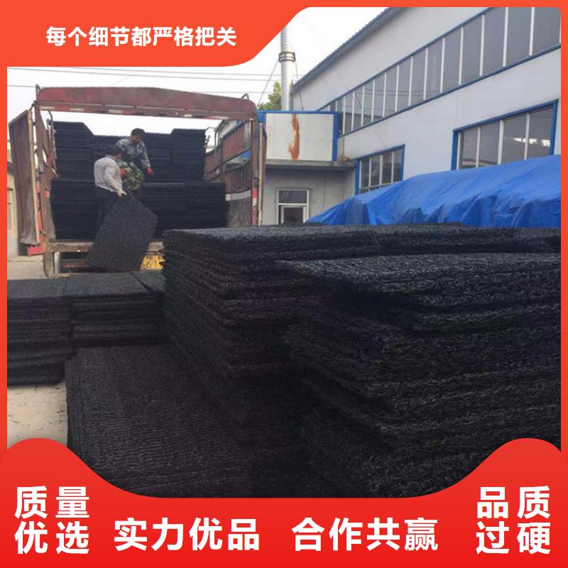 【土工席垫】,HDPE土工膜实力公司 中齐建材(合肥市分公司)