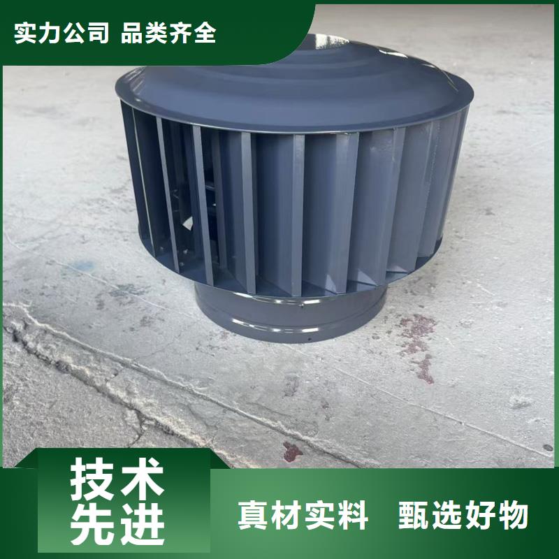 G系列排气道风帽防风雨飘入