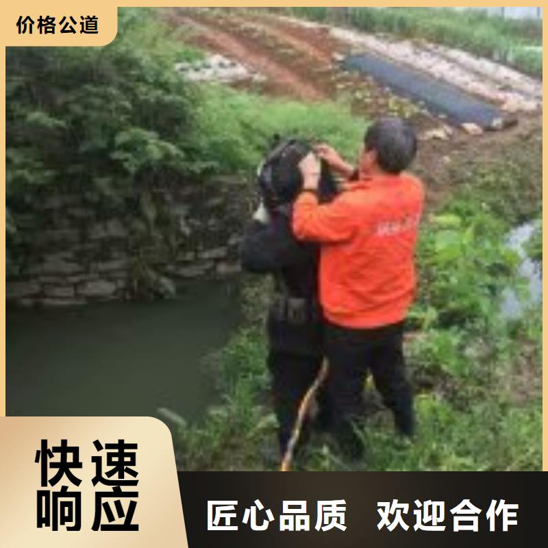 潜水服务公司本地潜水搜索团队良好口碑