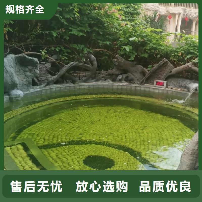 【 水浦蓝物联网再生过滤器 室内水上乐园设备定制销售售后为一体】-水浦蓝物联网智慧水设备(资阳市分公司)|覆盖地域安岳|乐至|眉山|成都|泸州|宜宾|阿坝|凉山|广元