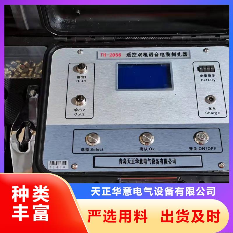 【地埋电缆管线探测仪】,录波分析仪口碑好实力强|灭磁过电压测试装置-天正华意电气设备(克拉玛依市分公司)