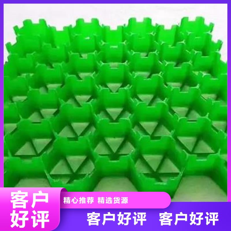 塑料植草格-朋联集团