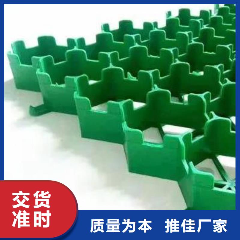 植草格按需定制