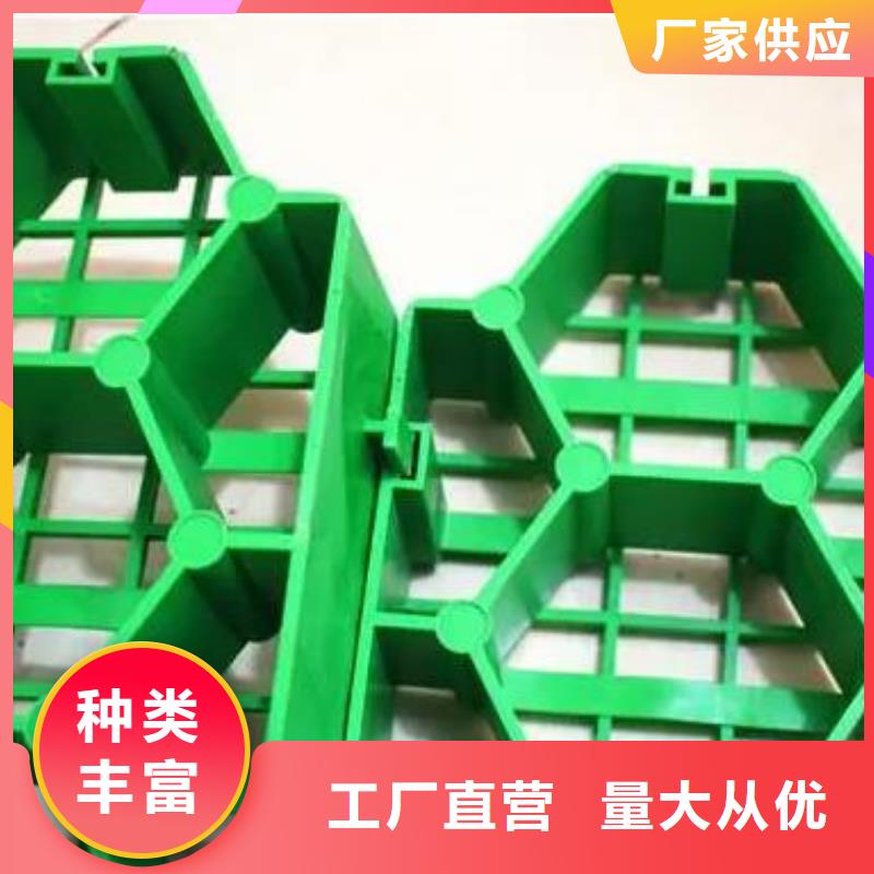 植草格植草格品质无所畏惧