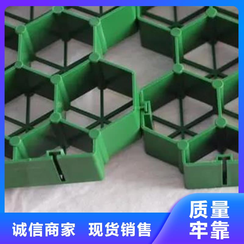植草格价格-货源价