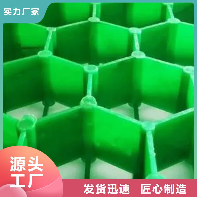 植草格朋联工程材料有限公司厂家直营