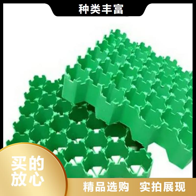 【今日新品 植草格- 植草格质量优价格低】-产品视频