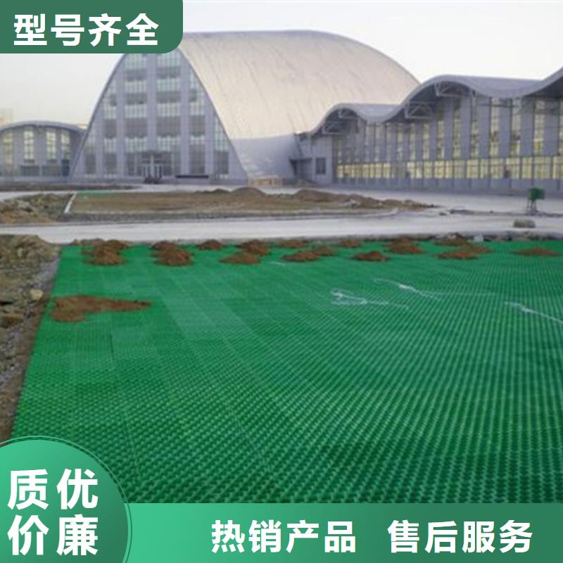 停车场植草格2025报价