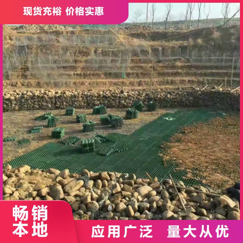 塑料植草格/生产厂家