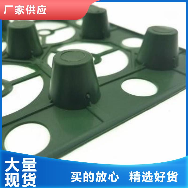 【 塑料排水板 防护虹吸排水收集系统经久耐用】_朋联工程材料(河北省分公司)