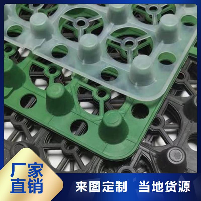 【 塑料排水板 排水板厂家实力大】朋联