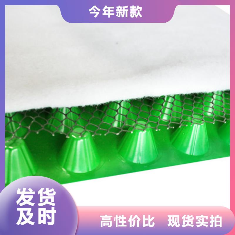 【 塑料排水板 防护虹吸排水收集系统经久耐用】_朋联工程材料(河北省分公司)
