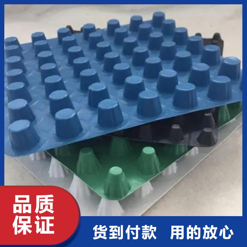 【 塑料排水板 防护虹吸排水收集系统经久耐用】_朋联工程材料(河北省分公司)