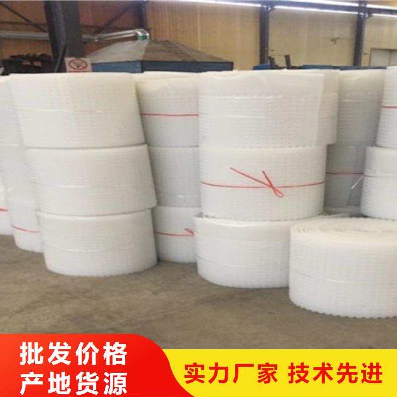 【 塑料排水板 排水板厂家实力大】朋联