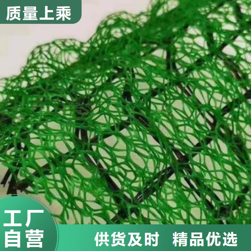 三维植被网水泥化粪池品牌专营