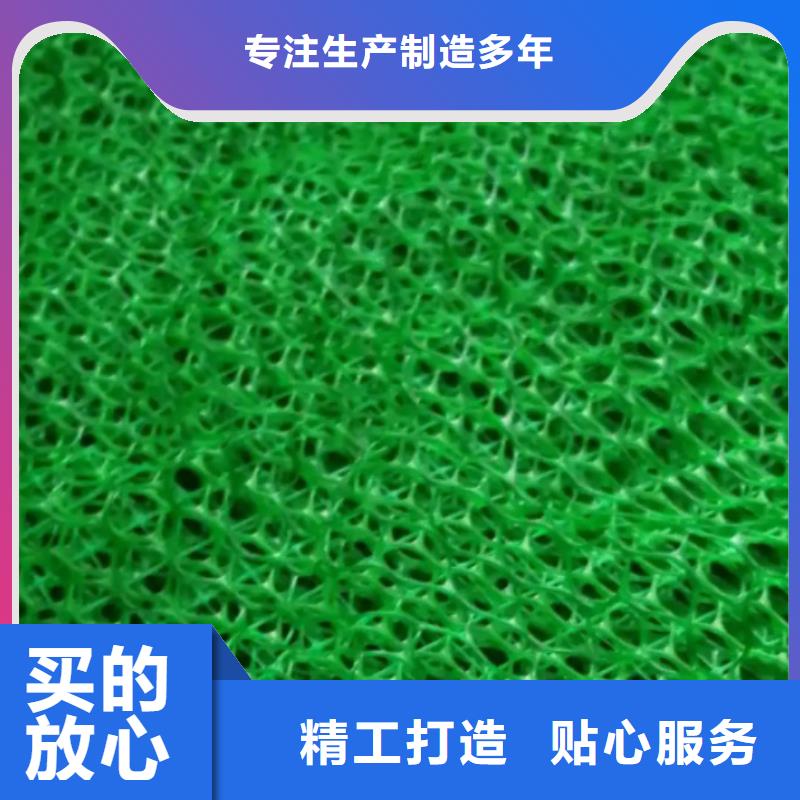 【三维植被网】化粪池水泥热销产品