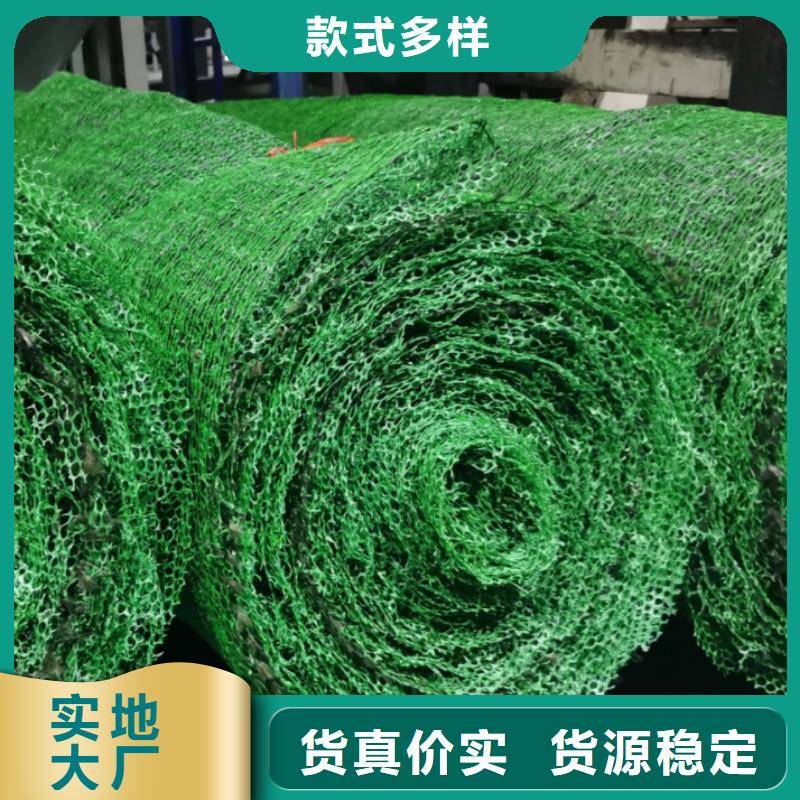 三维植被网水泥化粪池一手价格