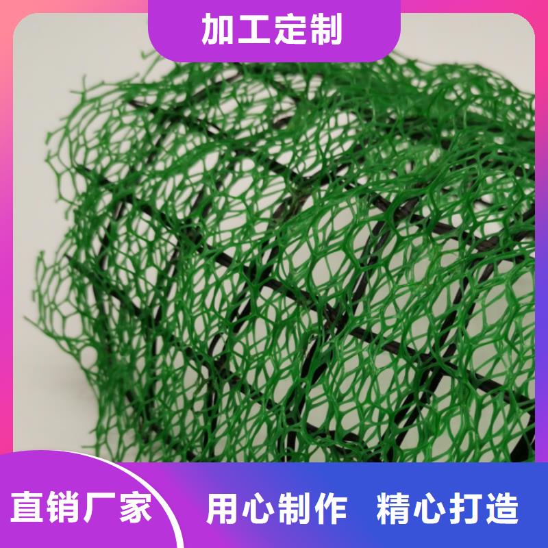 三维植被网批发价多少