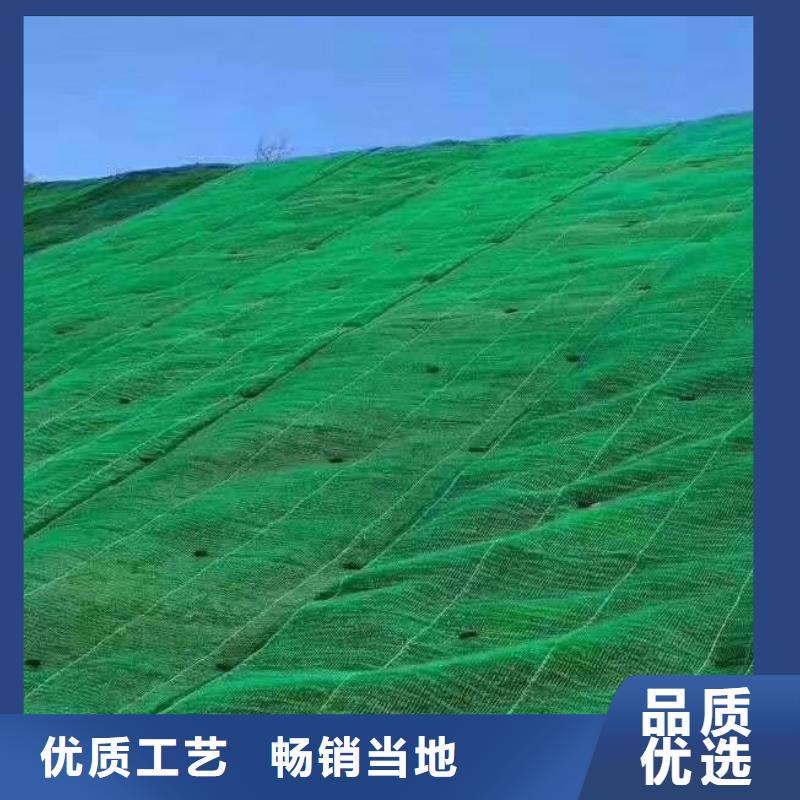 三维植被网-车库虹吸排水系统源头工厂量大优惠