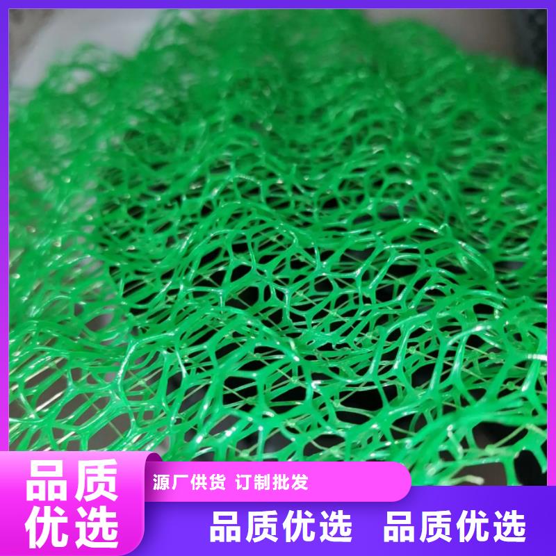 三维植被网-植草格精品优选