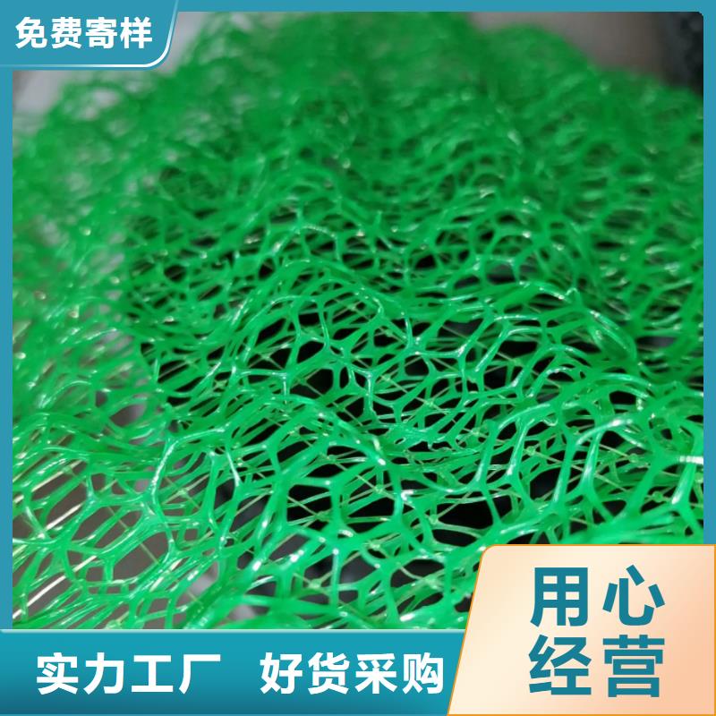 三维植被网_【防护虹吸排水收集系统】现货快速采购-市场覆盖|榆中|红古|白银|张掖|临夏|武威|定西-云推易