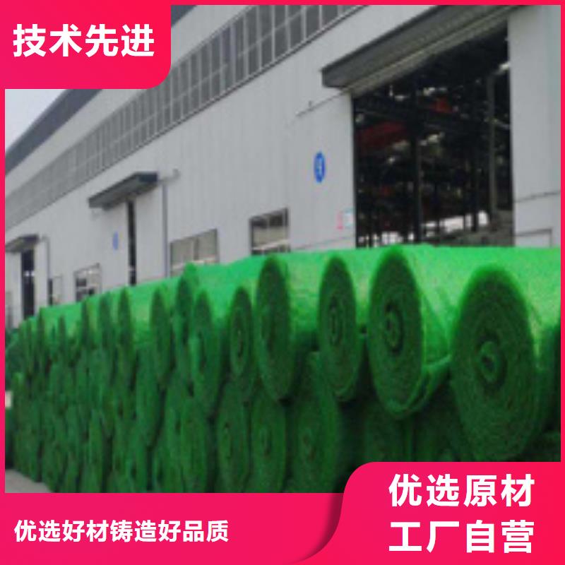 产品视频:附近(朋联)源头工厂量大优惠【三维植被网】防护虹吸排水收集系统应用领域