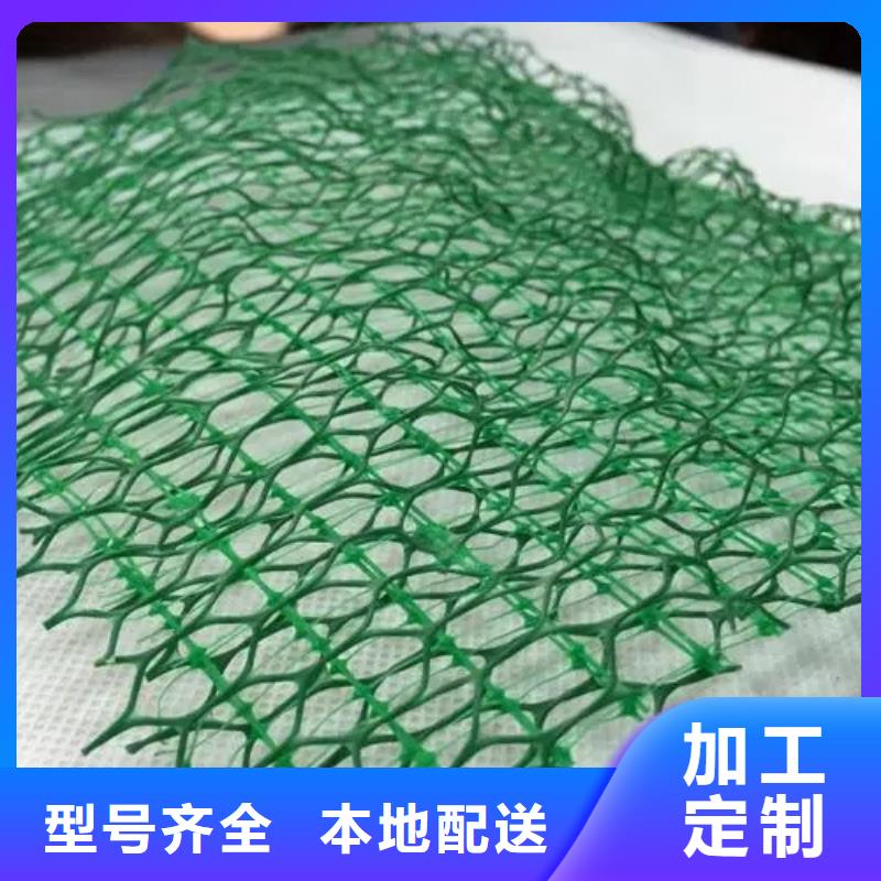 三维植被网水泥化粪池一手价格