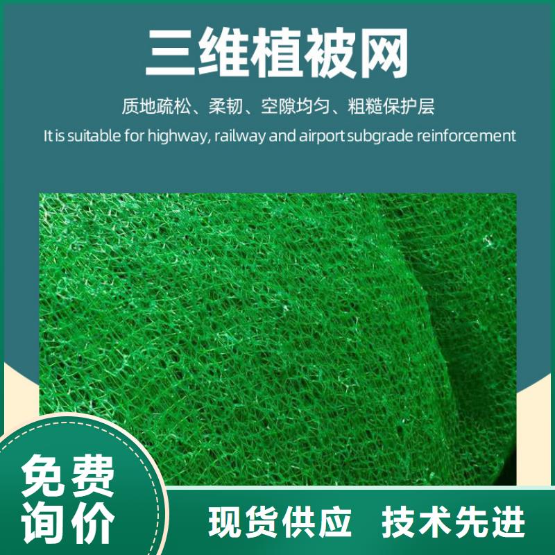 三维植被网,水泥化粪池实力厂家直销