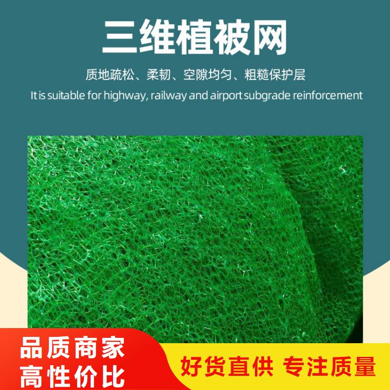 三维植被网-车库虹吸排水系统应用领域