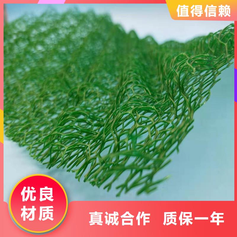 三维植被网防护虹吸排水收集系统根据要求定制