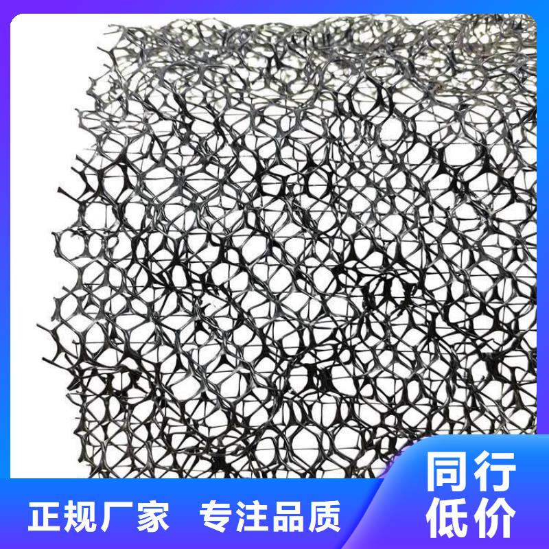 【三维植被网】排水板源头工厂量大优惠