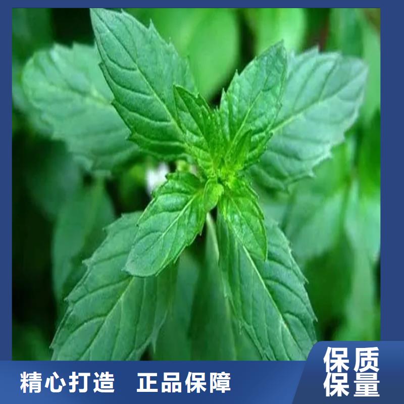 回收富锌底漆上门回收