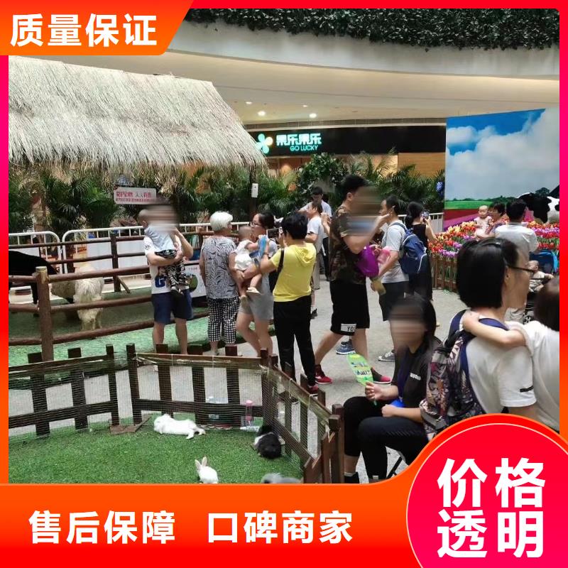 【马戏团/羊驼-美人鱼表演技术可靠】当地品牌