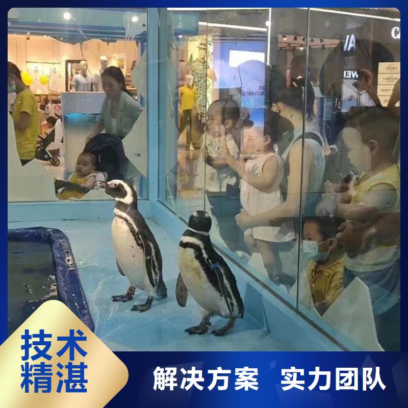 海洋生物展出租一手资源