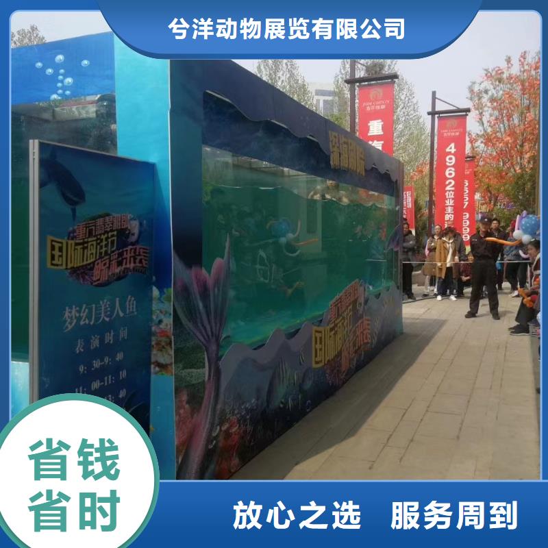 海洋生物展出租公司活动图片