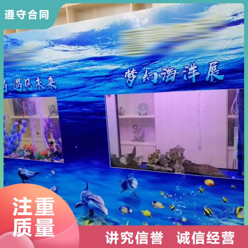 海洋主题动物表演草泥马羊驼租赁质量保证