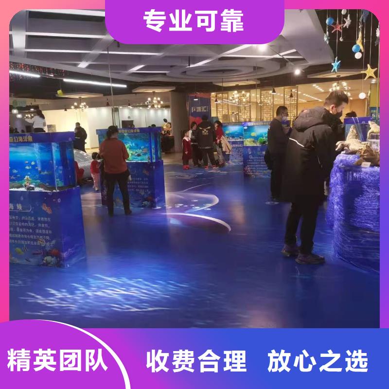 【海洋主题动物表演海洋展租赁技术精湛】